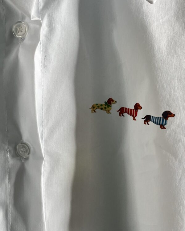 camicia bassotti